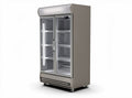 Frigorifero in acciaio inox con porte in vetro e ruote 150 x 70 x 180cm